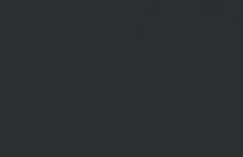 (166) VMC Dark Grey--17 ml. bottle #7879