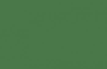 Foul Green--17 ml. bottle #7909