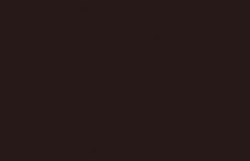 Dark Fleshtone--17 ml. bottle #7928