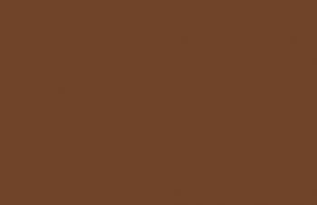 Bright Bronze--17 ml. bottle #7941