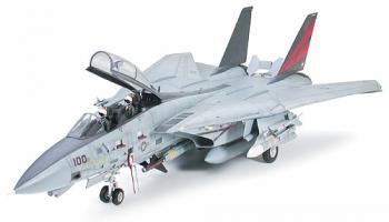 Grumman F-14A Tomcat "Black Knights" Grumman F-14A Tomcat "Black Knights" #8036