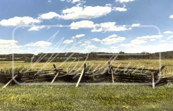 "Split Rail Fence" Backdrop #44476
